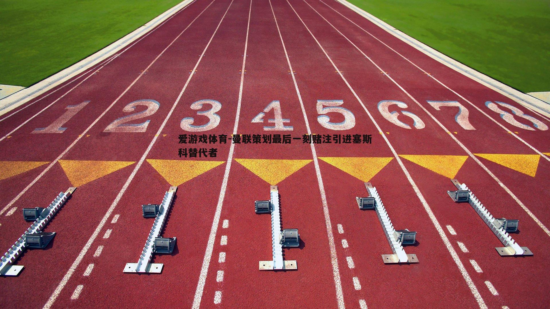 曼联策划最后一刻赌注引进塞斯科替代者