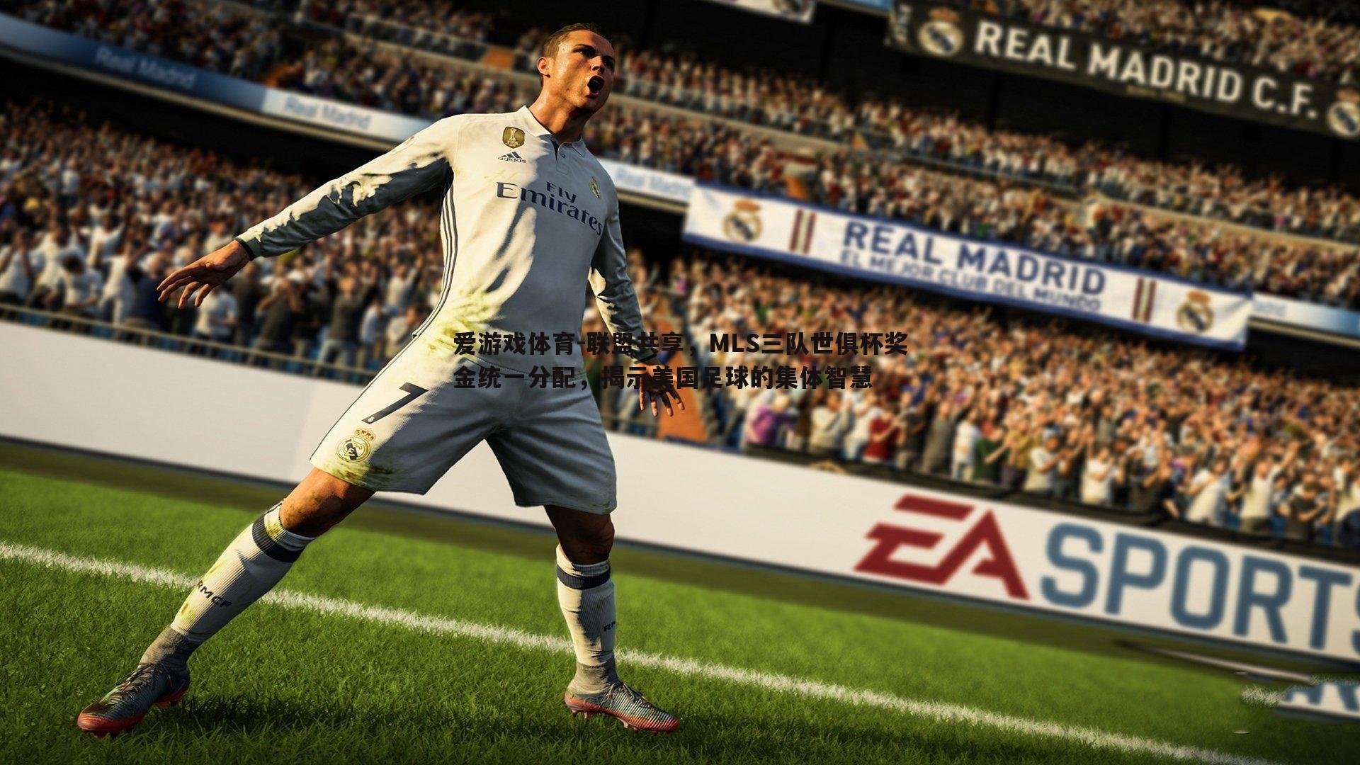 联盟共享,MLS三队世俱杯奖金统一分配,揭示美国足球的集体智慧